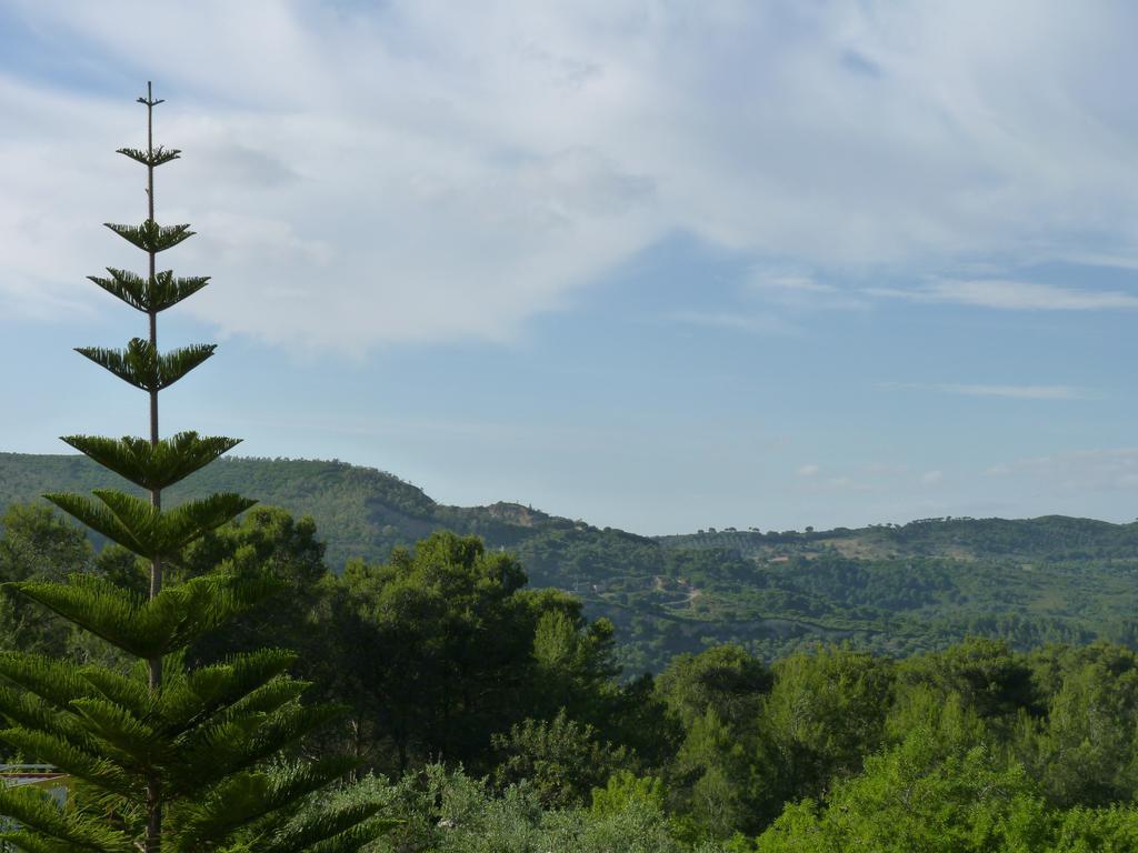Casal Das Oliveiras Setúbal Exterior foto