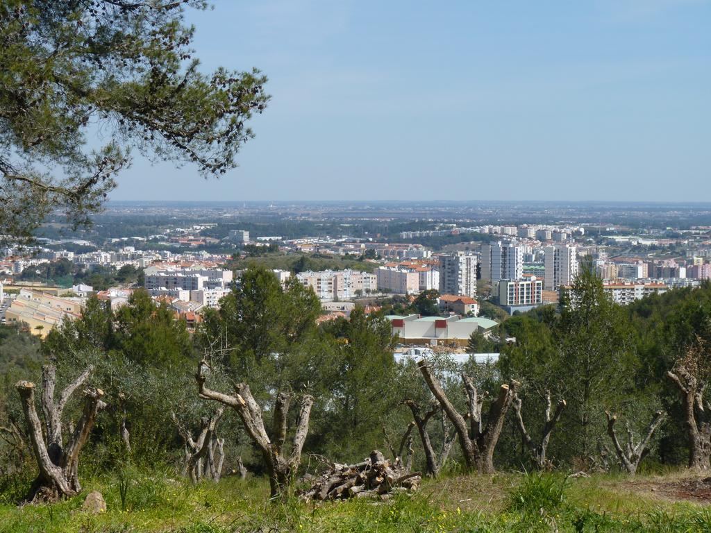Casal Das Oliveiras Setúbal Exterior foto